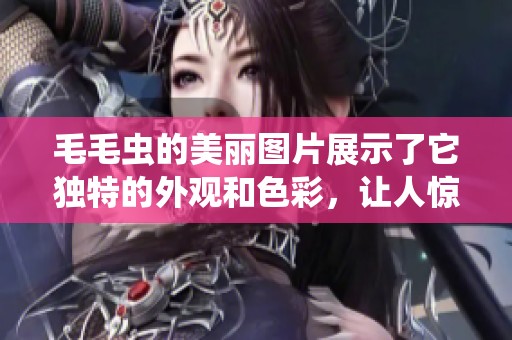 毛毛虫的美丽图片展示了它独特的外观和色彩，让人惊叹不已。