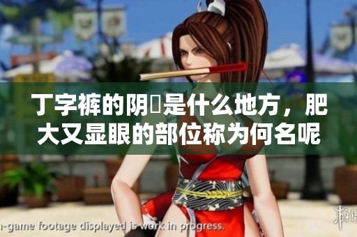 丁字裤的阴脣是什么地方，肥大又显眼的部位称为何名呢