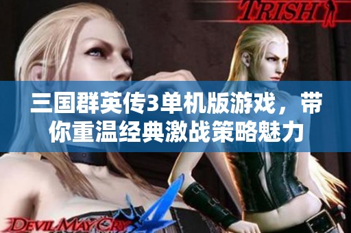 三国群英传3单机版游戏，带你重温经典激战策略魅力