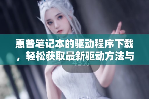 惠普笔记本的驱动程序下载，轻松获取最新驱动方法与步骤解析