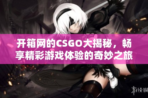 开箱网的CSGO大揭秘，畅享精彩游戏体验的奇妙之旅