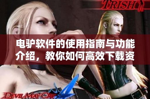 电驴软件的使用指南与功能介绍，教你如何高效下载资源