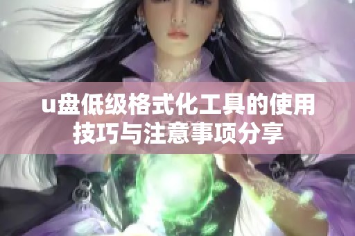 u盘低级格式化工具的使用技巧与注意事项分享