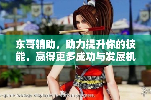 东哥辅助，助力提升你的技能，赢得更多成功与发展机会