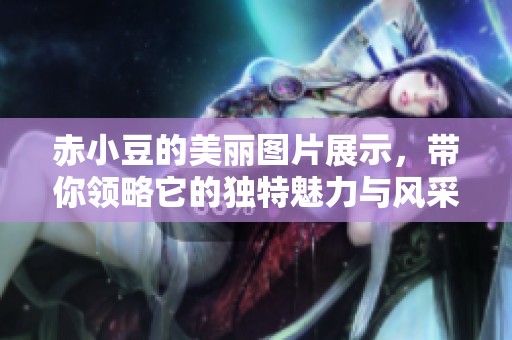 赤小豆的美丽图片展示，带你领略它的独特魅力与风采
