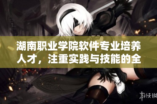 湖南职业学院软件专业培养人才，注重实践与技能的全面提升