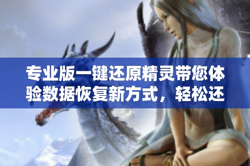 专业版一键还原精灵带您体验数据恢复新方式，轻松还原多种文件类型
