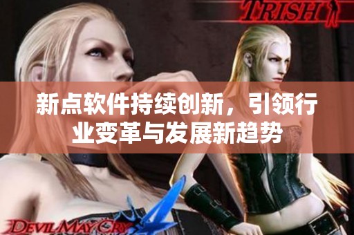 新点软件持续创新，引领行业变革与发展新趋势