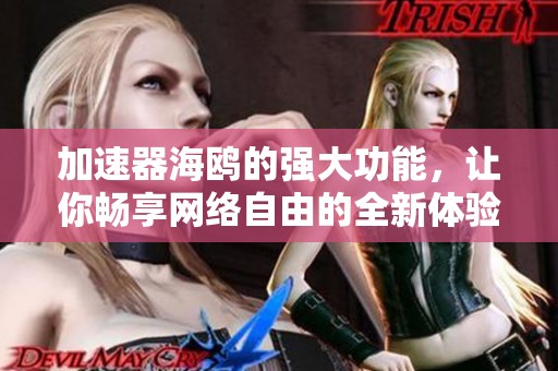 加速器海鸥的强大功能，让你畅享网络自由的全新体验