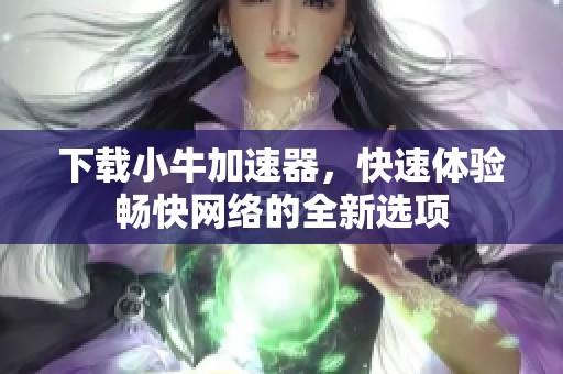 下载小牛加速器，快速体验畅快网络的全新选项