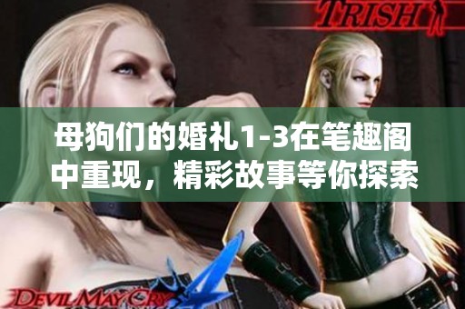 母狗们的婚礼1-3在笔趣阁中重现，精彩故事等你探索！
