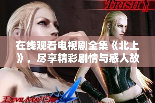 在线观看电视剧全集《北上》，尽享精彩剧情与感人故事