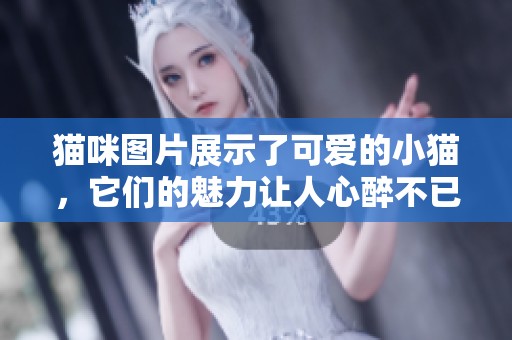 猫咪图片展示了可爱的小猫，它们的魅力让人心醉不已