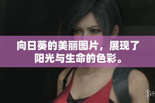 向日葵的美丽图片，展现了阳光与生命的色彩。