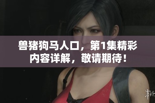 兽猪狗马人口，第1集精彩内容详解，敬请期待！