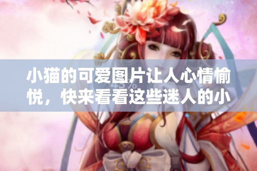 小猫的可爱图片让人心情愉悦，快来看看这些迷人的小猫吧