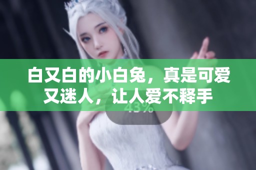 白又白的小白兔，真是可爱又迷人，让人爱不释手