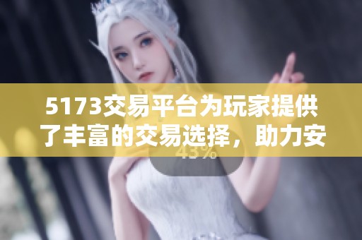 5173交易平台为玩家提供了丰富的交易选择，助力安全游戏体验