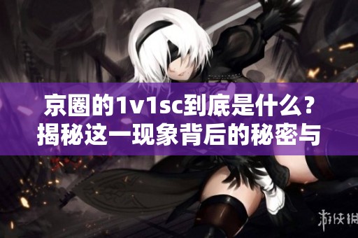 京圈的1v1sc到底是什么？揭秘这一现象背后的秘密与故事。