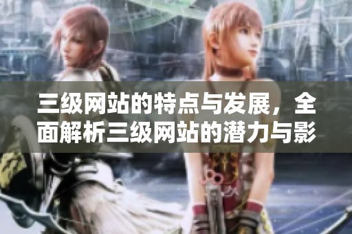 三级网站的特点与发展，全面解析三级网站的潜力与影响力