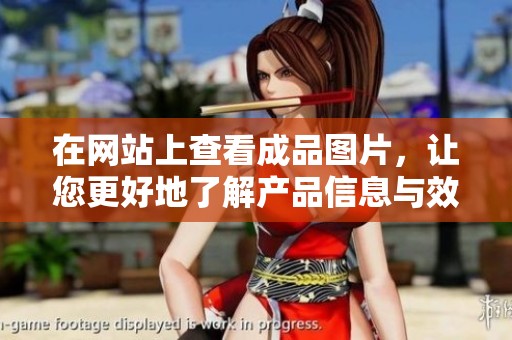 在网站上查看成品图片，让您更好地了解产品信息与效果