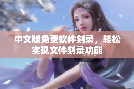 中文版免费软件刻录，轻松实现文件刻录功能