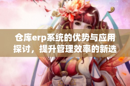 仓库erp系统的优势与应用探讨，提升管理效率的新选择