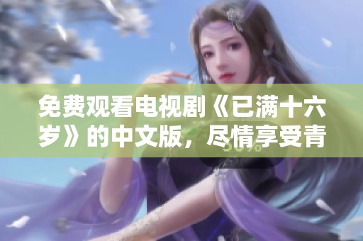 免费观看电视剧《已满十六岁》的中文版，尽情享受青春的故事！