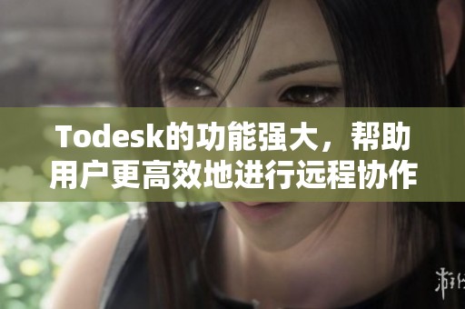 Todesk的功能强大，帮助用户更高效地进行远程协作与管理工作。