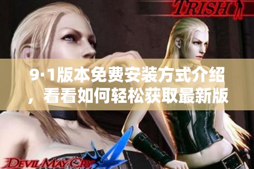 9·1版本免费安装方式介绍，看看如何轻松获取最新版软件