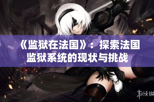《监狱在法国》：探索法国监狱系统的现状与挑战