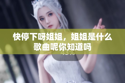 快停下呀姐姐，姐姐是什么歌曲呢你知道吗