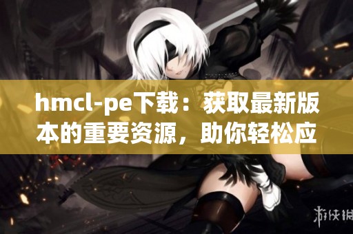 hmcl-pe下载：获取最新版本的重要资源，助你轻松应对各种需求