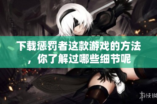 下载惩罚者这款游戏的方法，你了解过哪些细节呢