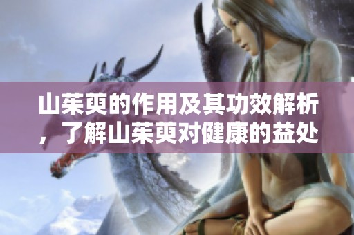 山茱萸的作用及其功效解析，了解山茱萸对健康的益处