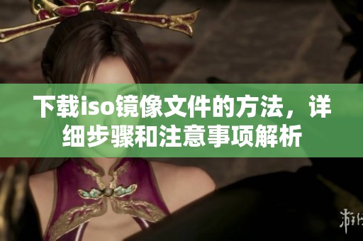 下载iso镜像文件的方法，详细步骤和注意事项解析