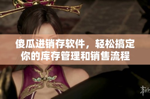 傻瓜进销存软件，轻松搞定你的库存管理和销售流程