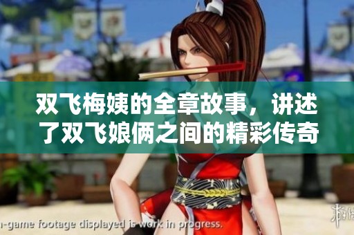双飞梅姨的全章故事，讲述了双飞娘俩之间的精彩传奇