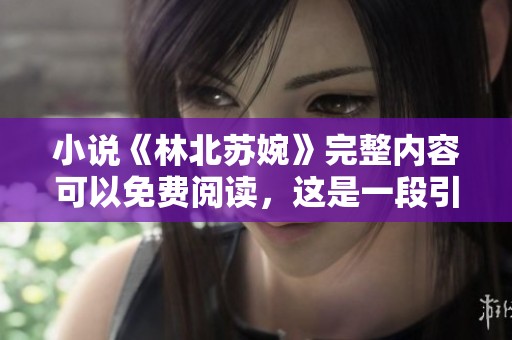小说《林北苏婉》完整内容可以免费阅读，这是一段引人入胜的故事旅程