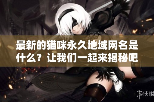最新的猫咪永久地域网名是什么？让我们一起来揭秘吧！