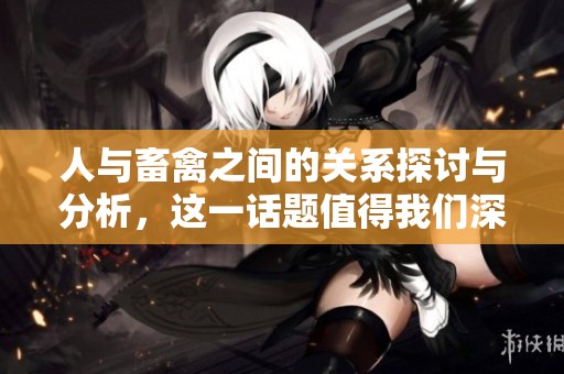 人与畜禽之间的关系探讨与分析，这一话题值得我们深入理解与思考