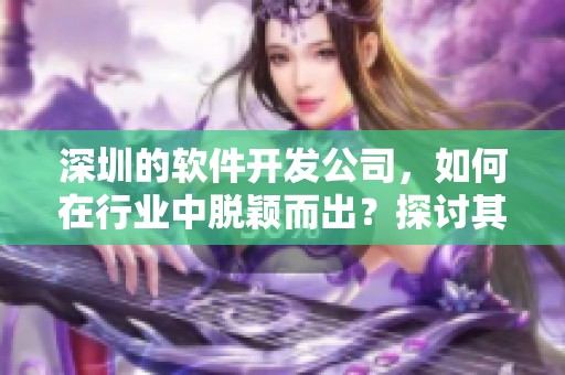 深圳的软件开发公司，如何在行业中脱颖而出？探讨其成功之道与挑战。