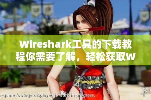 Wireshark工具的下载教程你需要了解，轻松获取Wireshark的方式介绍