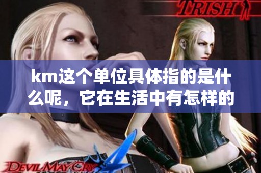 km这个单位具体指的是什么呢，它在生活中有怎样的应用呢