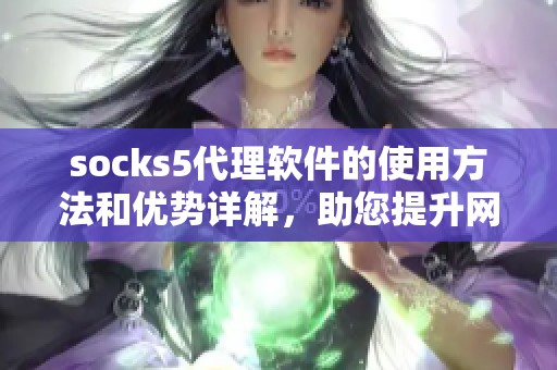 socks5代理软件的使用方法和优势详解，助您提升网络安全体验