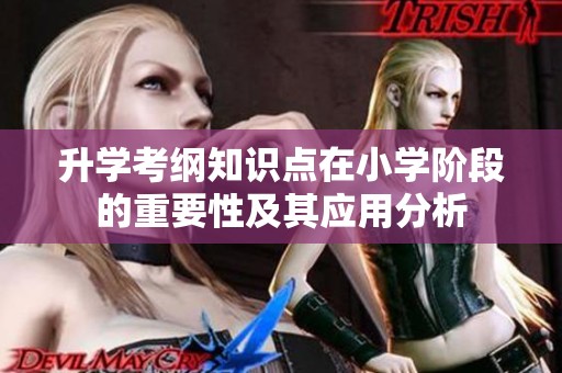 升学考纲知识点在小学阶段的重要性及其应用分析