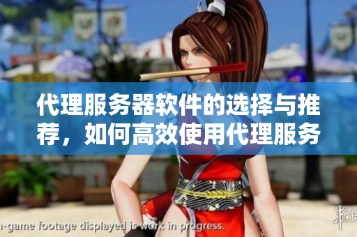代理服务器软件的选择与推荐，如何高效使用代理服务器软件提升网络安全