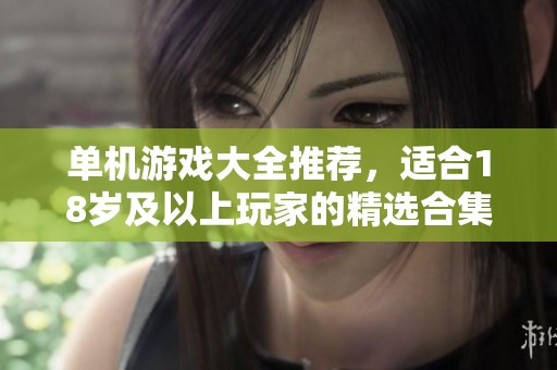 单机游戏大全推荐，适合18岁及以上玩家的精选合集