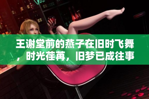 王谢堂前的燕子在旧时飞舞，时光荏苒，旧梦已成往事
