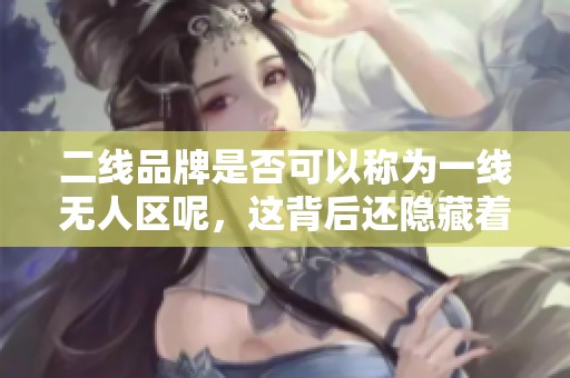 二线品牌是否可以称为一线无人区呢，这背后还隐藏着哪些故事呢